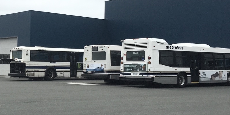 St. John’s Public Transit Review Sets Targets for Improvement | VOCM