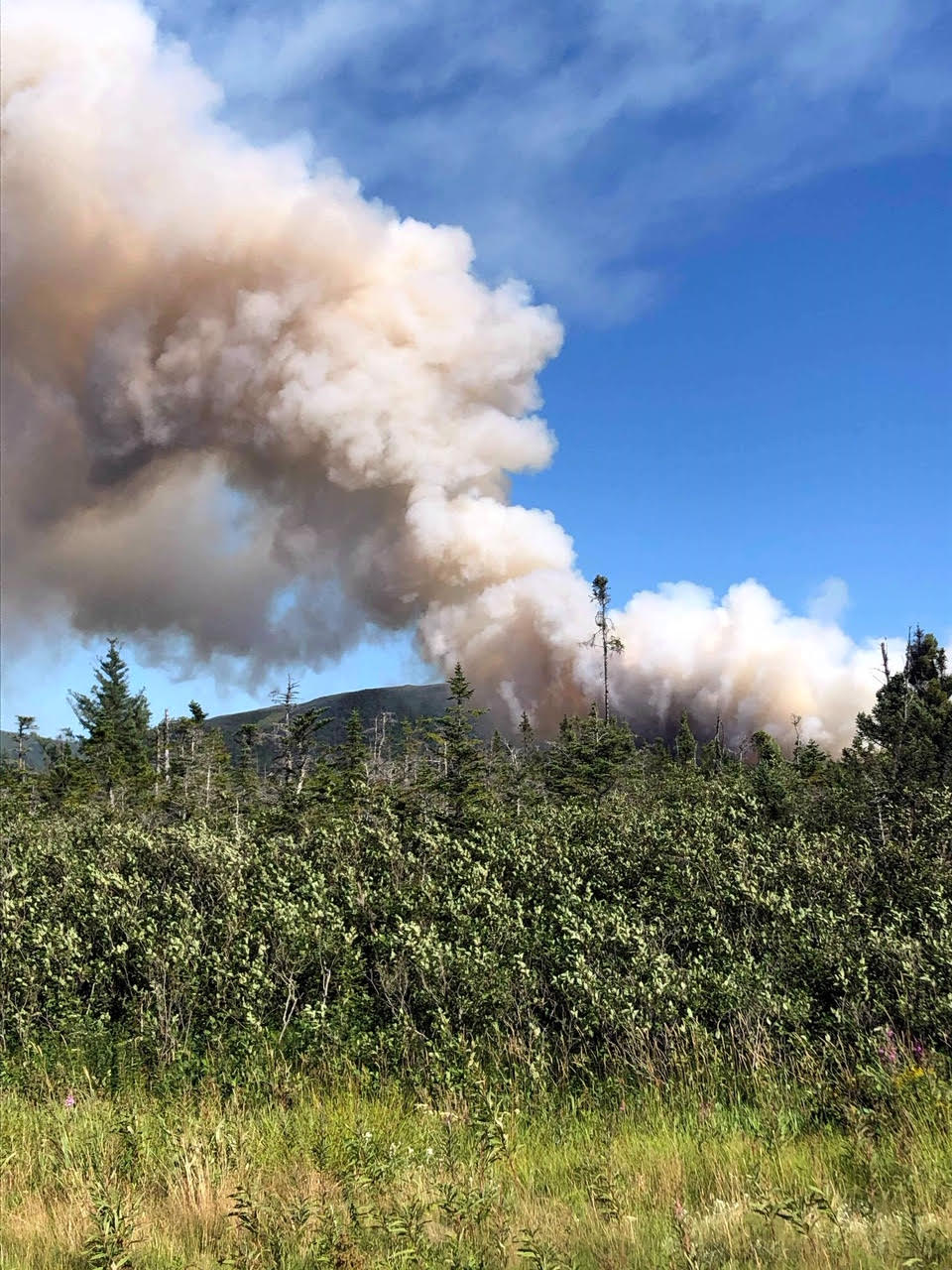 NL Fire Crews’ Continue to Battle Two Ongoing Forest Fires VOCM