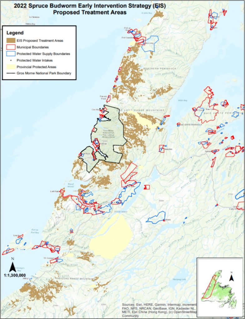 Spray Program to Combat Spruce Budworm Wraps Up | VOCM