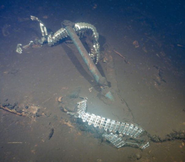 WWIIEra Bomber Plane in Gander Lake Could Be an Eco Tourism Attraction