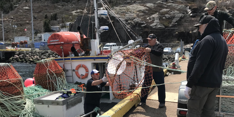 Wakeham Wants Snow Crab Fishery Formula Approach Adopted Well Before